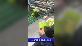 ถุงทางออกสำหรับเด็ก: กระเป๋าพิมพ์แบบกำหนดเอง B2B กันกลิ่นตามสิทธิบัตรของสหรัฐอเมริกา