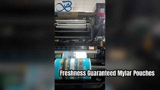 พิมพ์ Mylar Pouch ถุงเก็บผนึกเกรดอาหารสุญญากาศ