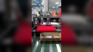 ถุงพวยเป็นมิตรกับสิ่งแวดล้อมถุงบรรจุภัณฑ์ของเหลวที่ย่อยสลายได้รีไซเคิลได้